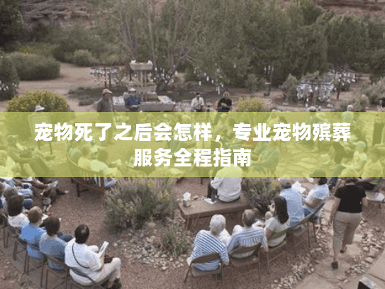 宠物死了之后会怎样,专业宠物殡葬服务全程指南 宠物死了之后会怎样,专业宠物殡葬服务全程指南