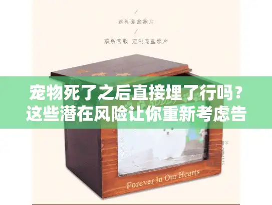 宠物死了之后直接埋了行吗？这些潜在风险让你重新考虑告别方式