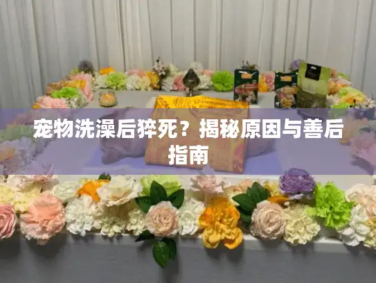 宠物洗澡后猝死?揭秘原因与善后指南 宠物洗澡后猝死?揭秘原因与善后指南