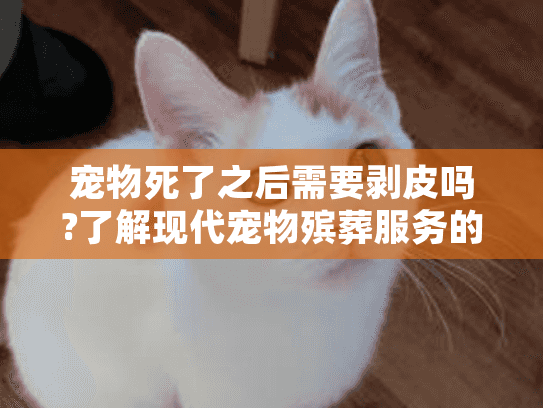 宠物死了之后需要剥皮吗?了解现代宠物殡葬服务的专业处理