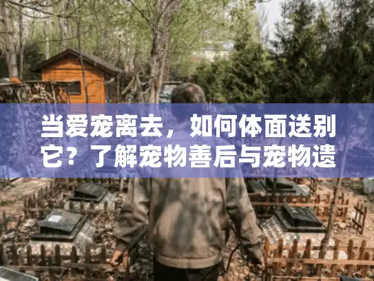 当爱宠离去,如何体面送别它?了解宠物善后与宠物遗体无害化处理 当爱宠离去,如何体面送别它?了解宠物善后与宠物遗体无害化处理