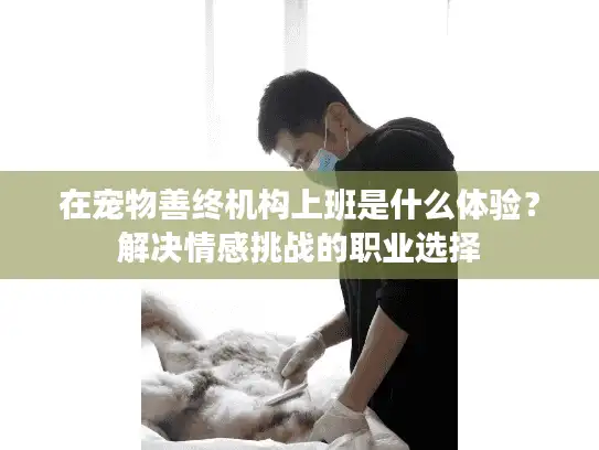 在宠物善终机构上班是什么体验？解决情感挑战的职业选择