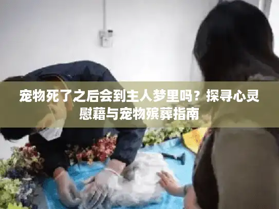 宠物死了之后会到主人梦里吗？探寻心灵慰藉与宠物殡葬指南