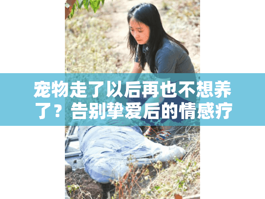 宠物走了以后再也不想养了？告别挚爱后的情感疗愈指南