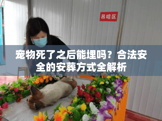 宠物死了之后能埋吗？合法安全的安葬方式全解析