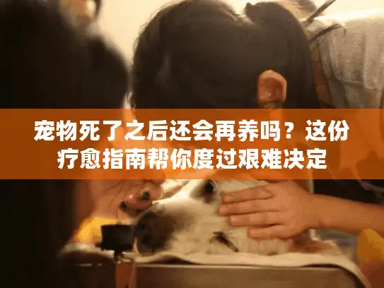 宠物死了之后还会再养吗？这份疗愈指南帮你度过艰难决定