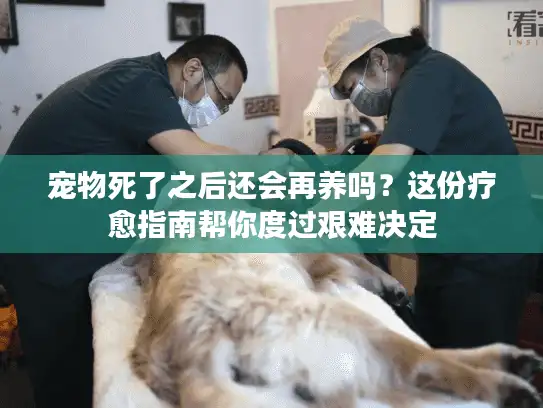 宠物死了之后还会再养吗？这份疗愈指南帮你度过艰难决定