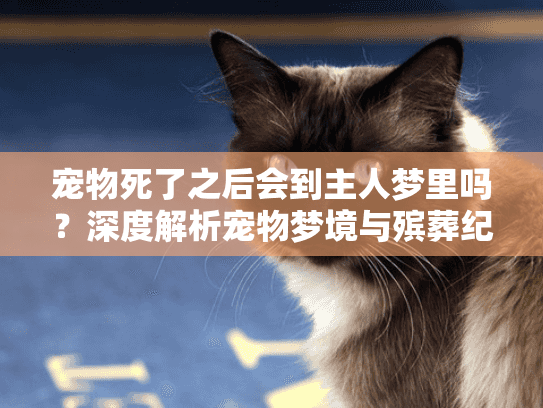 宠物死了之后会到主人梦里吗？深度解析宠物梦境与殡葬纪念选择