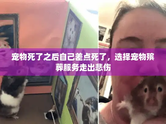 宠物死了之后自己差点死了,选择宠物殡葬服务走出悲伤 宠物死了之后自己差点死了,选择宠物殡葬服务走出悲伤