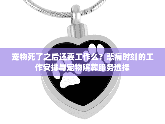 宠物死了之后还要工作么？悲痛时刻的工作安排与宠物殡葬服务选择