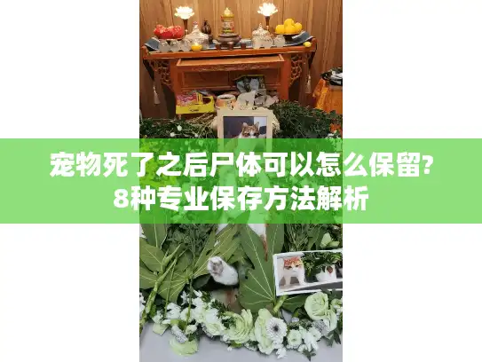 宠物死了之后尸体可以怎么保留?8种专业保存方法解析