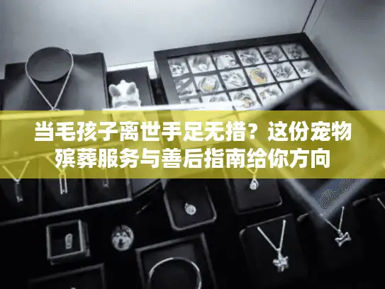 当毛孩子离世手足无措?这份宠物殡葬服务与善后指南给你方向 当毛孩子离世手足无措?这份宠物殡葬服务与善后指南给你方向