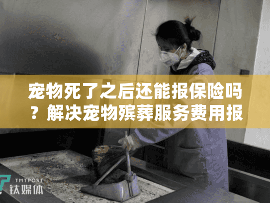 宠物死了之后还能报保险吗？解决宠物殡葬服务费用报销难题