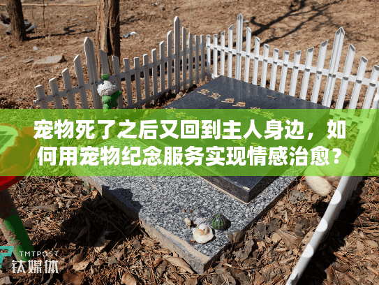 宠物死了之后又回到主人身边，如何用宠物纪念服务实现情感治愈？