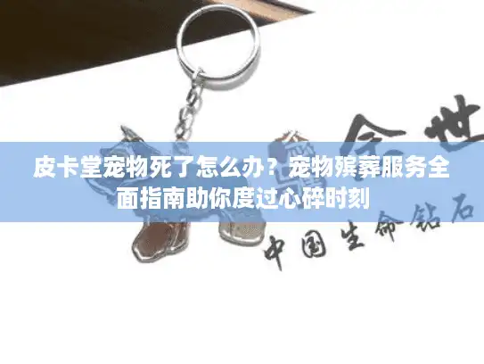 皮卡堂宠物死了怎么办？宠物殡葬服务全面指南助你度过心碎时刻