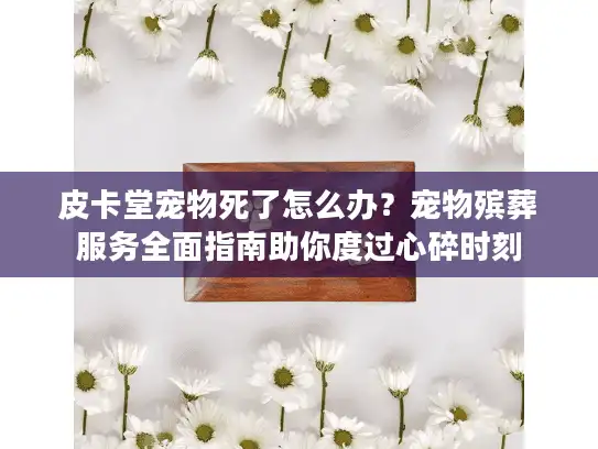 皮卡堂宠物死了怎么办？宠物殡葬服务全面指南助你度过心碎时刻
