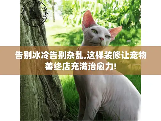 告别冰冷告别杂乱,这样装修让宠物善终店充满治愈力!