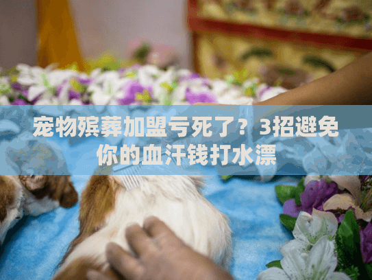 宠物殡葬加盟亏死了？3招避免你的血汗钱打水漂