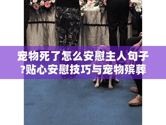 宠物死了怎么安慰主人句子?贴心安慰技巧与宠物殡葬服务指南