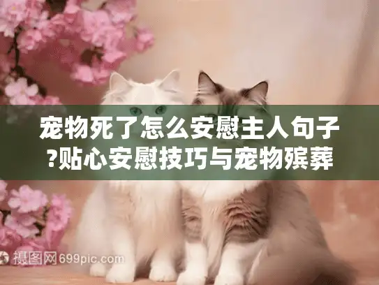 宠物死了怎么安慰主人句子?贴心安慰技巧与宠物殡葬服务指南