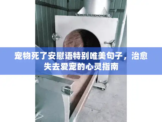 宠物死了安慰语特别唯美句子,治愈失去爱宠的心灵指南 宠物死了安慰语特别唯美句子,治愈失去爱宠的心灵指南