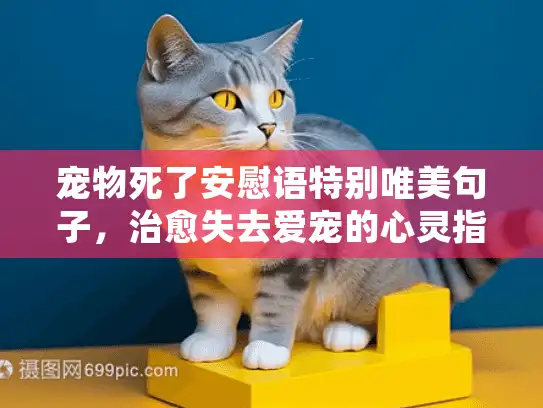 宠物死了安慰语特别唯美句子,治愈失去爱宠的心灵指南 宠物死了安慰语特别唯美句子,治愈失去爱宠的心灵指南