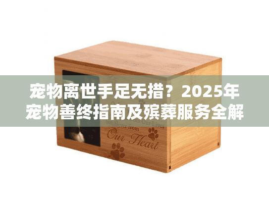 宠物离世手足无措？2025年宠物善终指南及殡葬服务全解析