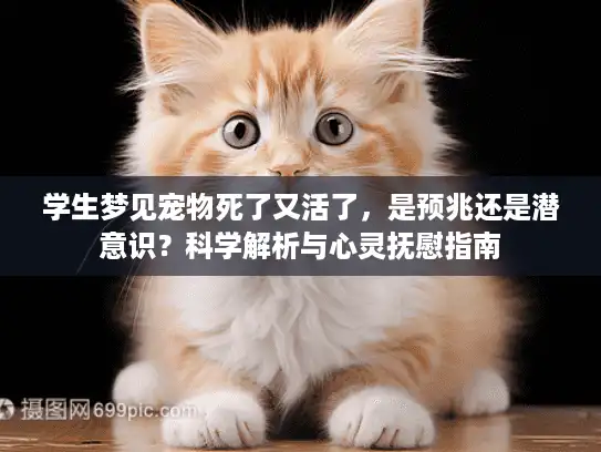 学生梦见宠物死了又活了，是预兆还是潜意识？科学解析与心灵抚慰指南