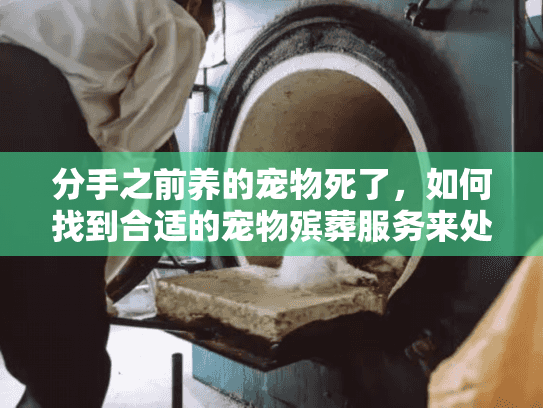 分手之前养的宠物死了，如何找到合适的宠物殡葬服务来处理伤痛？