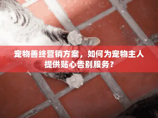 宠物善终营销方案，如何为宠物主人提供贴心告别服务？