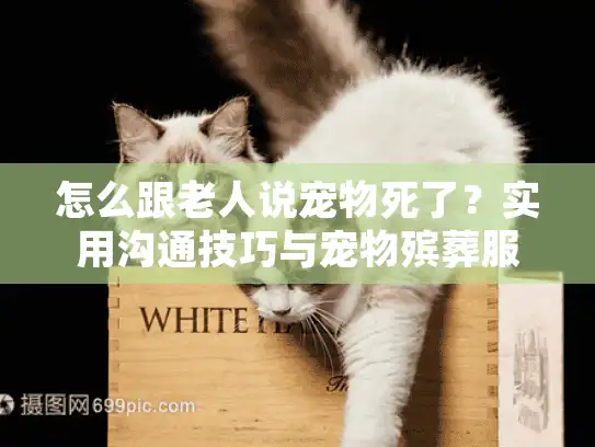 怎么跟老人说宠物死了？实用沟通技巧与宠物殡葬服务选择