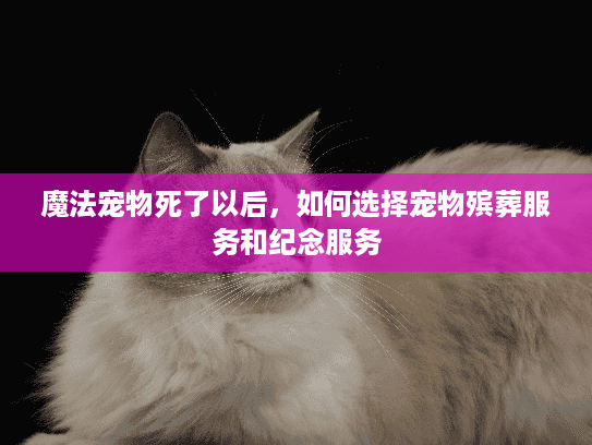 魔法宠物死了以后，如何选择宠物殡葬服务和纪念服务
