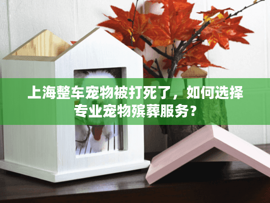 上海整车宠物被打死了，如何选择专业宠物殡葬服务？