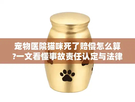 宠物医院猫咪死了赔偿怎么算?一文看懂事故责任认定与法律维权路径