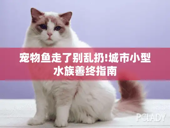 宠物鱼走了别乱扔!城市小型水族善终指南