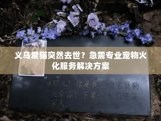 义乌爱猫突然去世？急需专业宠物火化服务解决方案