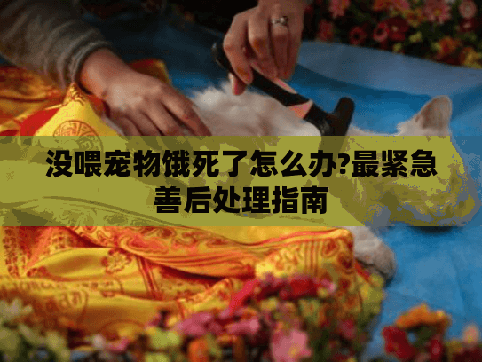 没喂宠物饿死了怎么办?最紧急善后处理指南