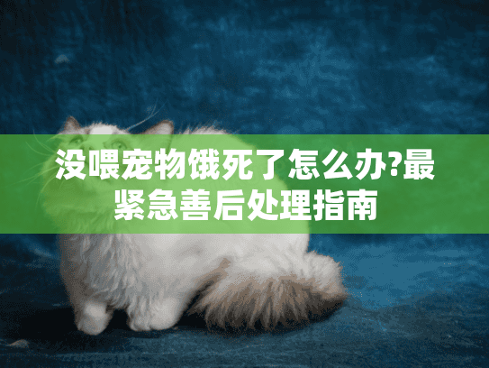没喂宠物饿死了怎么办?最紧急善后处理指南