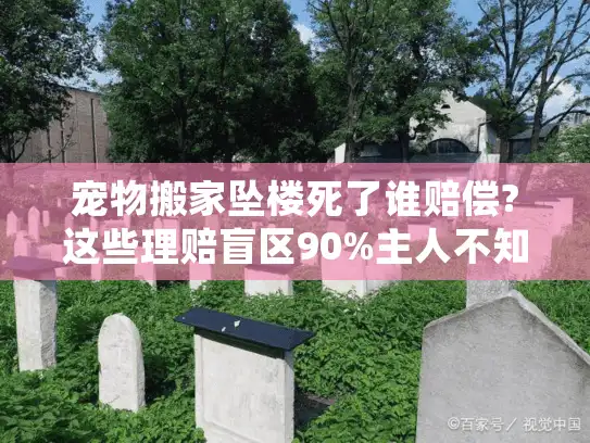 宠物搬家坠楼死了谁赔偿?这些理赔盲区90%主人不知道