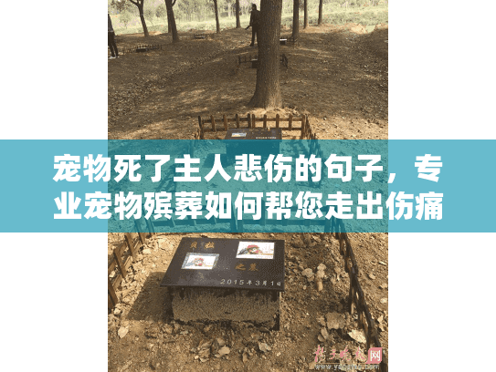 宠物死了主人悲伤的句子,专业宠物殡葬如何帮您走出伤痛? 宠物死了主人悲伤的句子,专业宠物殡葬如何帮您走出伤痛?