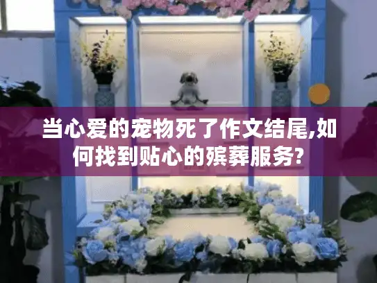 当心爱的宠物死了作文结尾,如何找到贴心的殡葬服务?