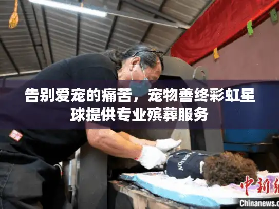 告别爱宠的痛苦，宠物善终彩虹星球提供专业殡葬服务