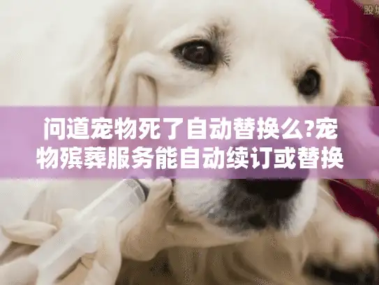 问道宠物死了自动替换么?宠物殡葬服务能自动续订或替换吗？