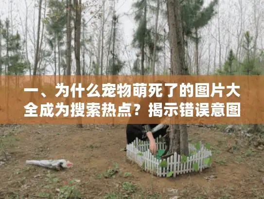 一、为什么宠物萌死了的图片大全成为搜索热点?揭示错误意图 一、为什么宠物萌死了的图片大全成为搜索热点?揭示错误意图