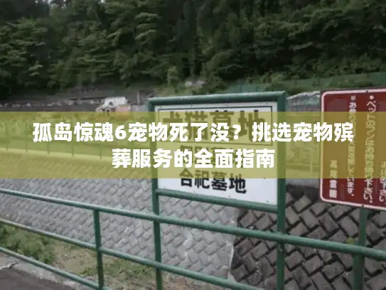 孤岛惊魂6宠物死了没？挑选宠物殡葬服务的全面指南