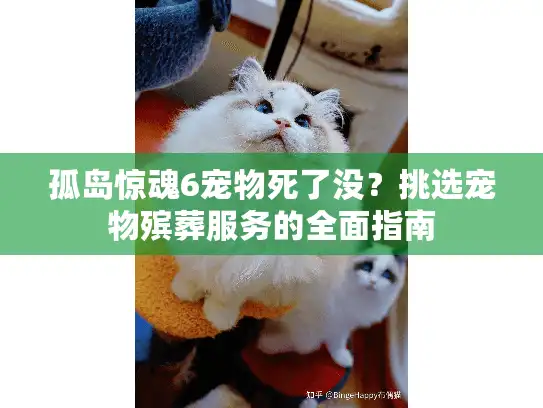 孤岛惊魂6宠物死了没？挑选宠物殡葬服务的全面指南