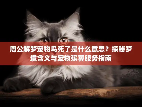 周公解梦宠物鸟死了是什么意思？探秘梦境含义与宠物殡葬服务指南