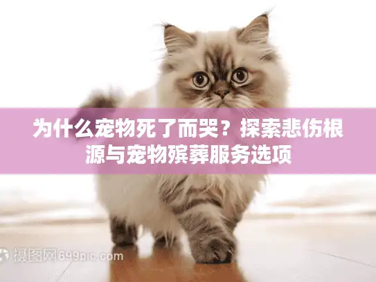 为什么宠物死了而哭？探索悲伤根源与宠物殡葬服务选项
