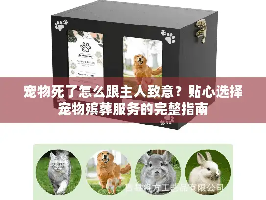 宠物死了怎么跟主人致意？贴心选择宠物殡葬服务的完整指南