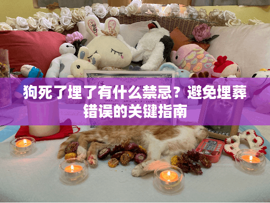 狗死了埋了有什么禁忌？避免埋葬错误的关键指南